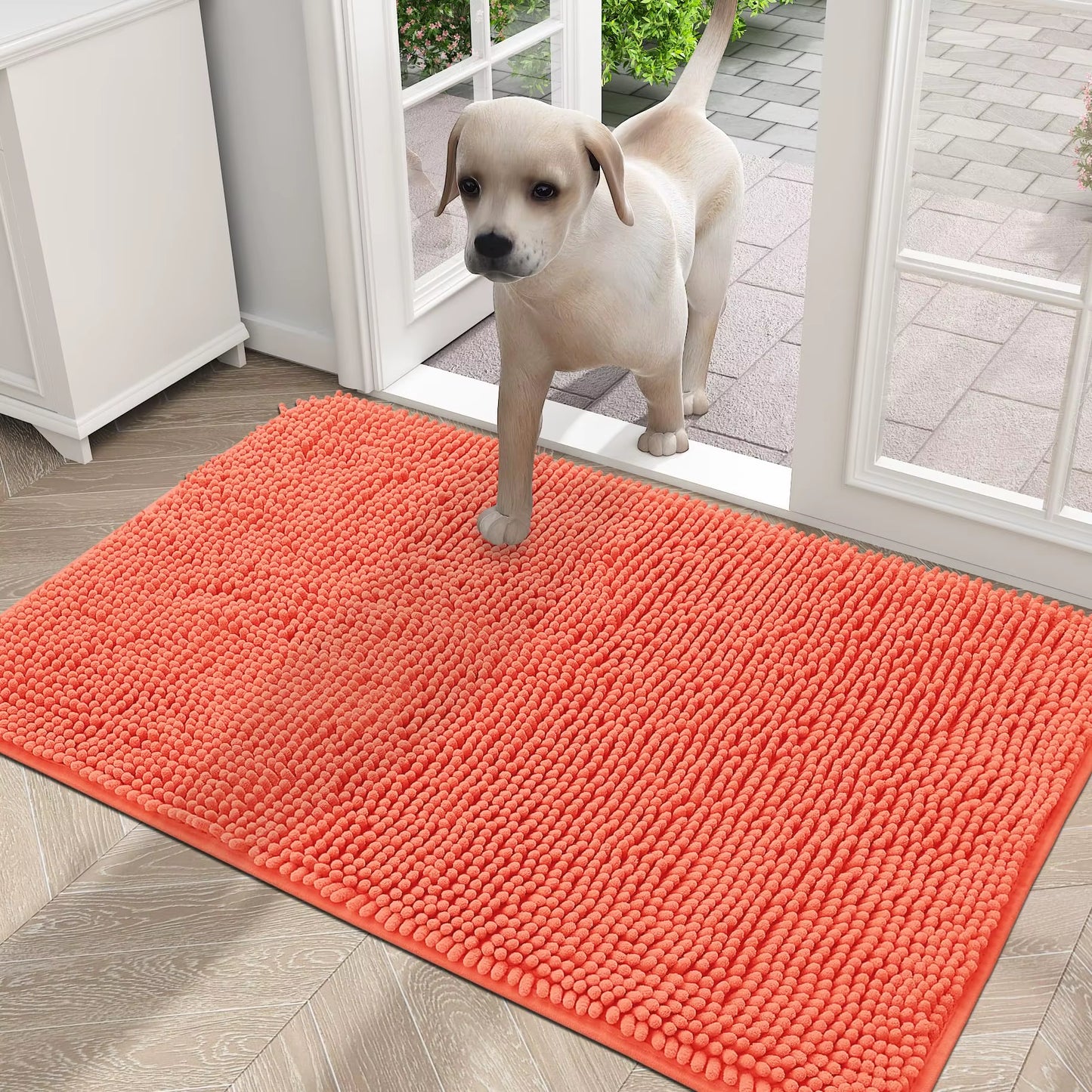 Dogs Entry Indoor Door Mat Dirt Absorbent Non-Slip Washable Mat Quick Dry Microfiber Mud Mat Dog Door Mat for Muddy Paws